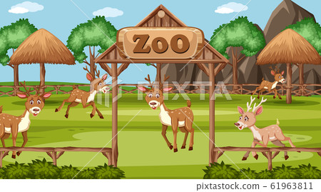 Scene with wild animals in the zoo at day time Scene with wild animals in the zoo at day time 61963811