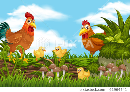 Chickens in nature scene Chickens in nature scene 61964541