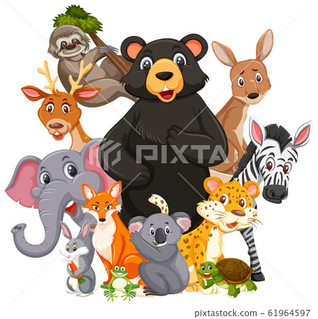 Different types of wild animals on white - Stock Illustration [61964597] -  PIXTA