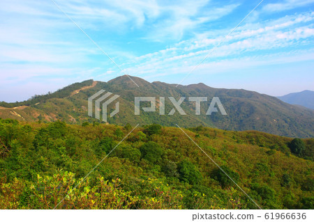 25 Dec 2008 The Landscape Of Hong kong Maclehose 25 Dec 2008 The Landscape Of Hong kong Maclehose 61966636