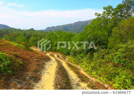 25 dec 2008 Famous MacLehose Trail Section 4 in 25 dec 2008 Famous MacLehose Trail Section 4 in 61966677