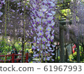 富士龜戶十神社 61967993