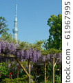 龜戶天神神社 61967995