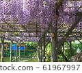 藤田龜戶十神社 61967997