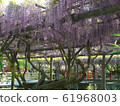 藤田龜戶十神社 61968003