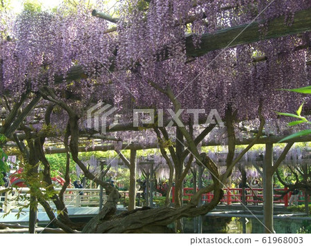 藤田龜戶十神社 61968003