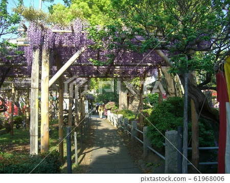 Fujitana Kameido Ten Shrine 61968006