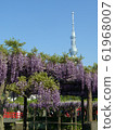 龜戶天神神社 61968007