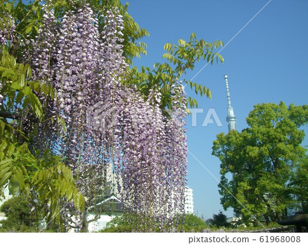 富士龜戶十神社 61968008