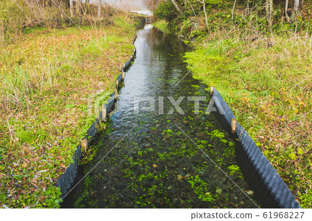泉水：秋季安zu野 61968227