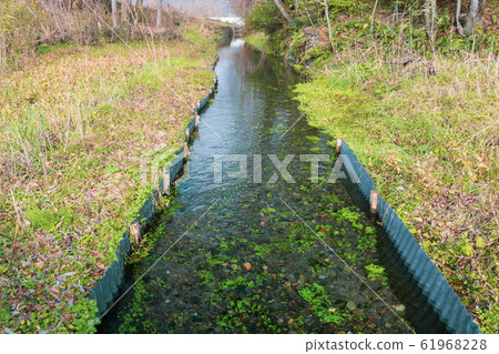 泉水:秋季安zu野 泉水:秋季安zu野 61968228