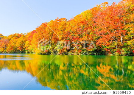 Autumn leaves of Kamike Autumn leaves of Kamike 61969430