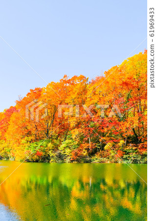 Autumn leaves of Kamike 61969433