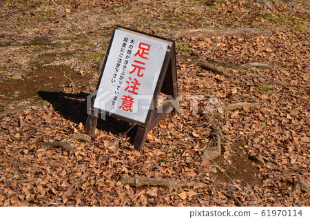 Early spring Lingnan Park is like this Hachioji 61970114