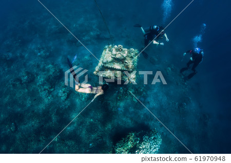 Young woman free diver glides with fins near underwater temple. Freediving in blue ocean Young woman free diver glides with fins near underwater temple. Freediving in blue ocean 61970948