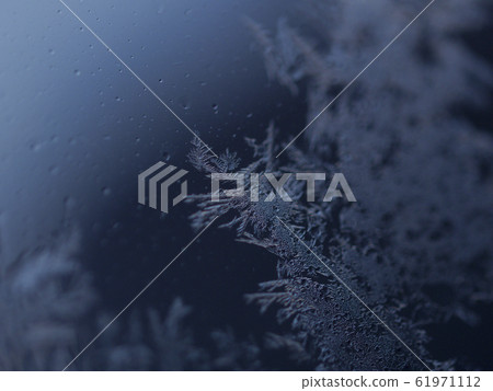 Ice crystals dark background delicate branches 61971112