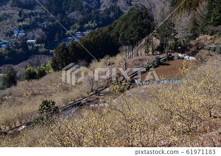 Rowby Matsudacho Rowby Matsudacho 61971183