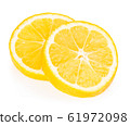 Lemon slices isolated on a white background. 61972098