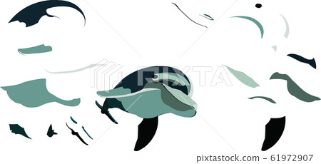 series of dolphins to draw and build series of dolphins to draw and build 61972907
