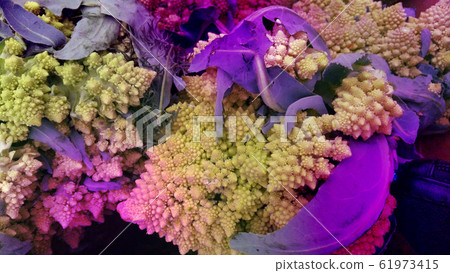 Fractal Texture of Romanescu broccoli exotic vegetable in green and purple closeup 61973415