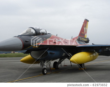 F2 F2 61973832