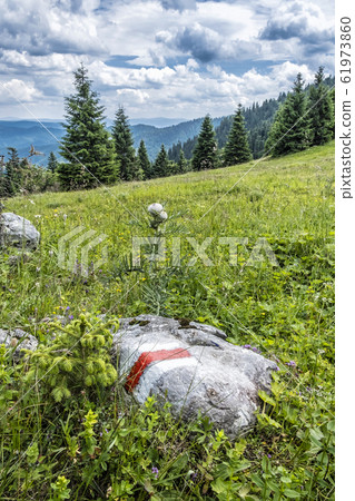 Big Fatra mountains, Slovakia 61973860