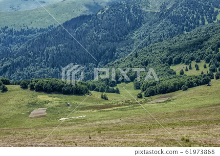 Chalet with flock of sheep, Big Fatra, Slovakia 61973868