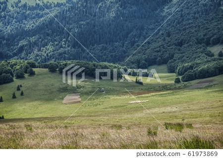 Chalet with flock of sheep, Big Fatra, Slovakia 61973869