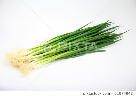 Blue onion 61974948