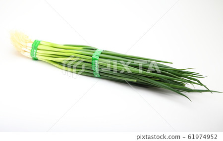 Blue onion 61974952