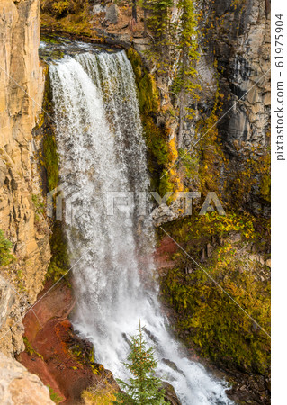View of the 97-foot Tumalo Falls in Tumalo Creek near Bend View of the 97-foot Tumalo Falls in Tumalo Creek near Bend 61975904