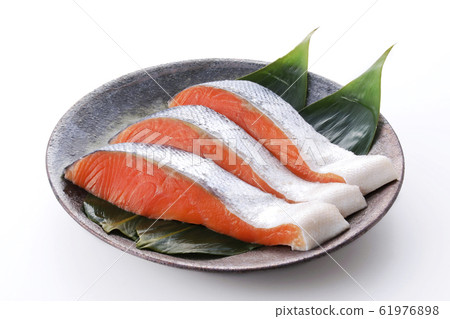 銀鮭魚 61976898