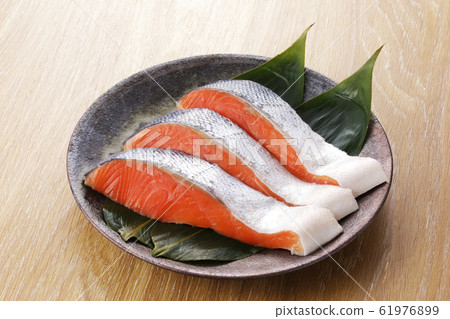銀鮭魚 61976899