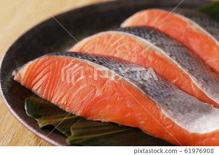 銀鮭魚 61976908