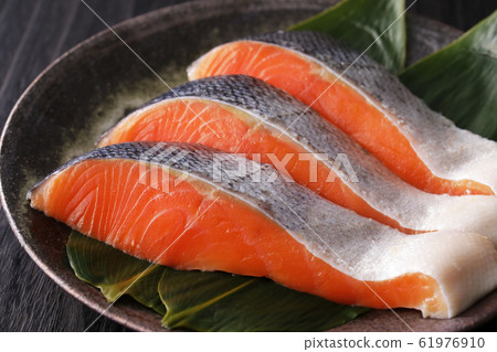 銀鮭魚 銀鮭魚 61976910