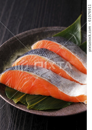 銀鮭魚 銀鮭魚 61976911