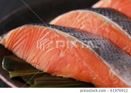 銀鮭魚 銀鮭魚 61976912