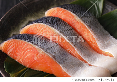 銀鮭魚 61976913