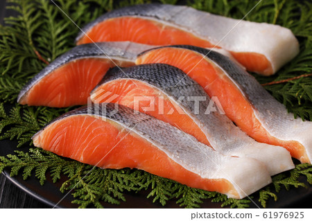 銀鮭魚 61976925