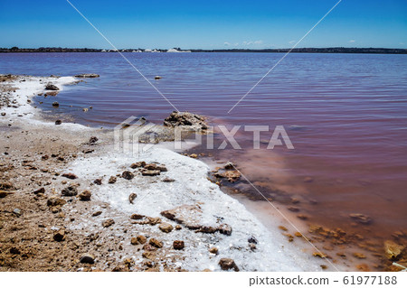 Laguna Salada in Torrevieja, Spain. Pink Salted lake. Salinas Natural Park. 61977188