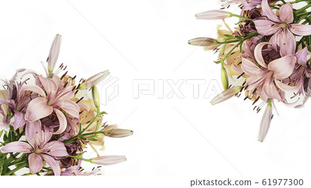 Postcard with garden flowers over white background. Empty place with copy space Postcard with garden flowers over white background. Empty place with copy space 61977300