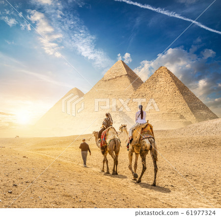 Camel Caravan of Giza Camel Caravan of Giza 61977324
