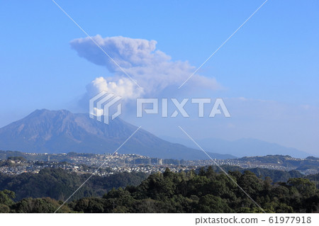 從鹿兒島縣健康森林公園看到的櫻島的複明 61977918