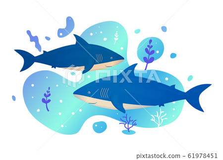Two sharks in the sea. Ocean fish. Underwater Two sharks in the sea. Ocean fish. Underwater 61978451