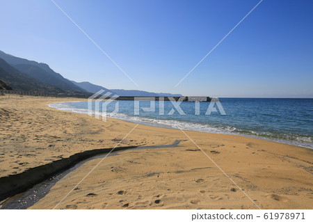 鹿兒島市南大s町 61978971