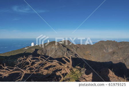 Dry tree roots at highest peak of La Palma Roque De Los Muchachos with big telescopes of Observatory at Caldera De Taburiente, blue sky and sea in background. La Palma, Canary Islands, Spain 61979325