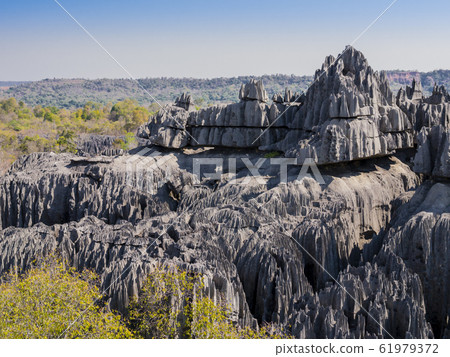 Impressive karst limestone formations in Tsingy de Bemaraha National Park, Madagascar Impressive karst limestone formations in Tsingy de Bemaraha National Park, Madagascar 61979372
