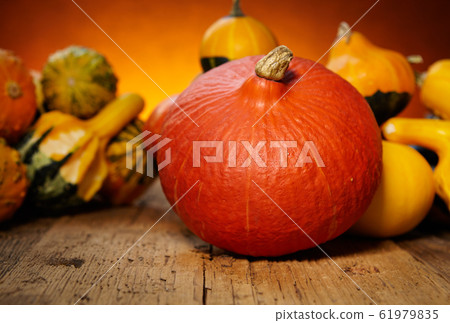 Decorative pumpkins on old wooden table Decorative pumpkins on old wooden table 61979835