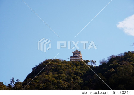 岐阜山頂的岐阜城 61980244