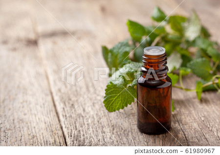 bottle with essential mint oil 61980967